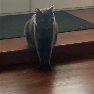 Meet your Posher, Andrea